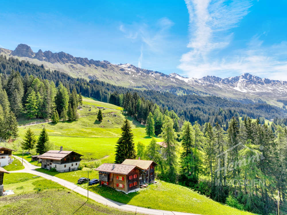 Immobilie in Churwalden/ Salez kaufen oder verkaufen